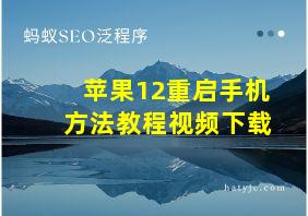 苹果12重启手机方法教程视频下载