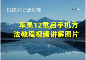 苹果12重启手机方法教程视频讲解图片