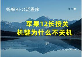 苹果12长按关机键为什么不关机