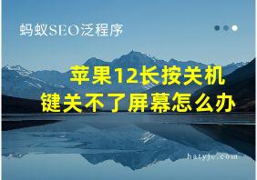 苹果12长按关机键关不了屏幕怎么办