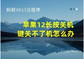 苹果12长按关机键关不了机怎么办