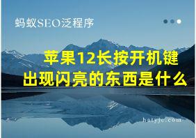 苹果12长按开机键出现闪亮的东西是什么