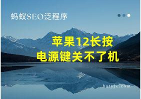 苹果12长按电源键关不了机