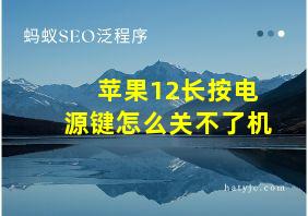 苹果12长按电源键怎么关不了机