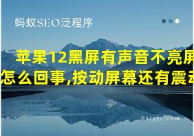 苹果12黑屏有声音不亮屏怎么回事,按动屏幕还有震动