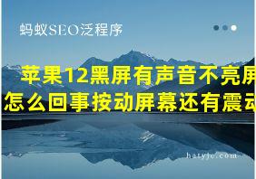 苹果12黑屏有声音不亮屏怎么回事按动屏幕还有震动