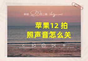 苹果12 拍照声音怎么关