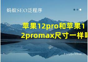 苹果12pro和苹果12promax尺寸一样吗