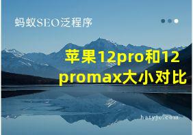 苹果12pro和12promax大小对比