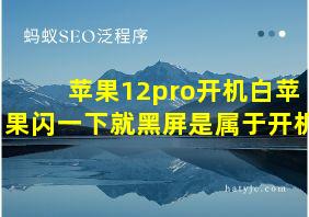 苹果12pro开机白苹果闪一下就黑屏是属于开机