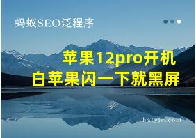 苹果12pro开机白苹果闪一下就黑屏