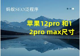 苹果12pro 和12pro max尺寸