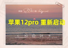 苹果12pro 重新启动