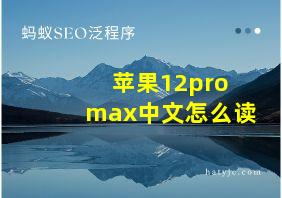 苹果12pro max中文怎么读