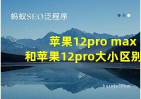 苹果12pro max和苹果12pro大小区别