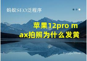 苹果12pro max拍照为什么发黄