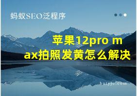 苹果12pro max拍照发黄怎么解决