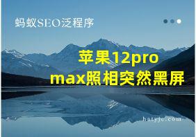 苹果12pro max照相突然黑屏