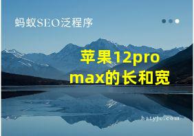 苹果12pro max的长和宽