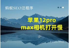 苹果12pro max相机打开慢