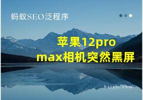 苹果12pro max相机突然黑屏