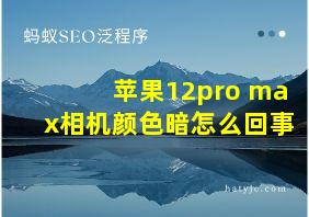 苹果12pro max相机颜色暗怎么回事