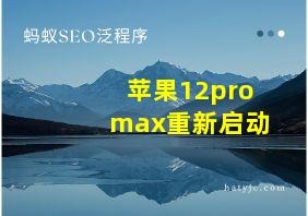 苹果12pro max重新启动