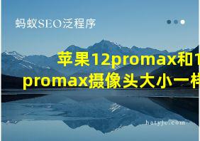 苹果12promax和13promax摄像头大小一样吗