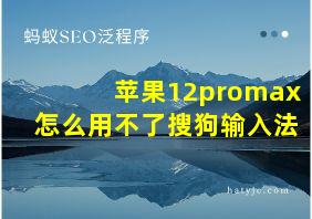 苹果12promax怎么用不了搜狗输入法