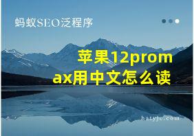 苹果12promax用中文怎么读