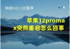 苹果12promax突然重启怎么回事