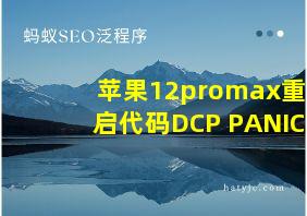 苹果12promax重启代码DCP PANIC