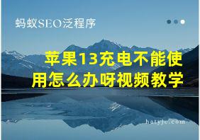 苹果13充电不能使用怎么办呀视频教学