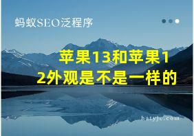 苹果13和苹果12外观是不是一样的