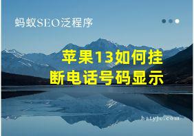 苹果13如何挂断电话号码显示