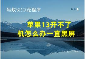 苹果13开不了机怎么办一直黑屏