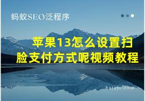 苹果13怎么设置扫脸支付方式呢视频教程