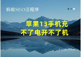 苹果13手机充不了电开不了机