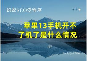 苹果13手机开不了机了是什么情况