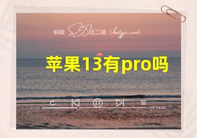 苹果13有pro吗