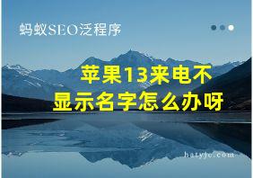 苹果13来电不显示名字怎么办呀