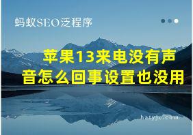 苹果13来电没有声音怎么回事设置也没用