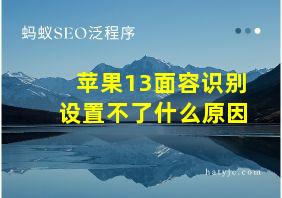 苹果13面容识别设置不了什么原因