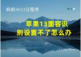 苹果13面容识别设置不了怎么办