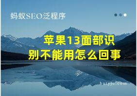 苹果13面部识别不能用怎么回事