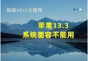 苹果13.3系统面容不能用