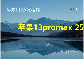 苹果13promax 256