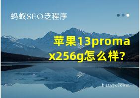 苹果13promax256g怎么样?