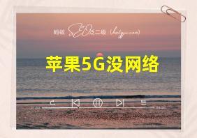 苹果5G没网络