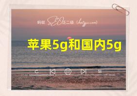 苹果5g和国内5g